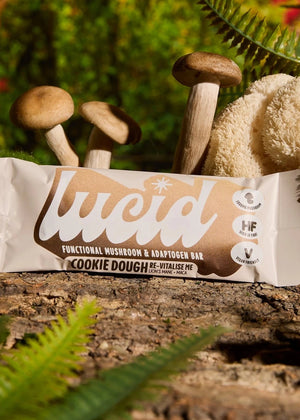 Lucid Cookie Dough Energy and Focus Nutrition Bar