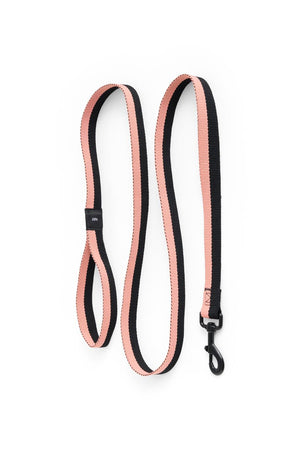 Hay Dog Leads