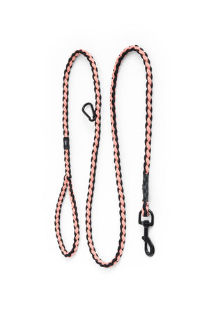 Hay Dog Leads