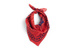 Hay Dog Scarves + other colours