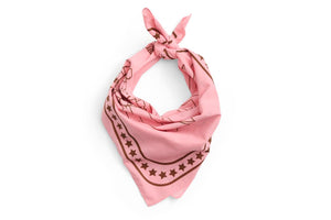 Hay Dog Scarves + other colours