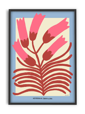 Hesperaloe Parviflora Art Print