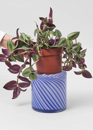 Spiral Glass Pots + 3 sizes + 2 colours