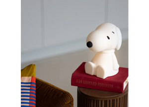 Snoopy Mini Light