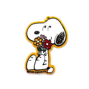 Snoopy Magnets