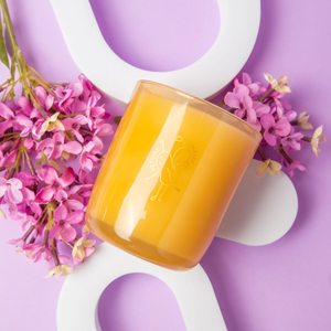 Before Sunrise Coconut Soy Candle