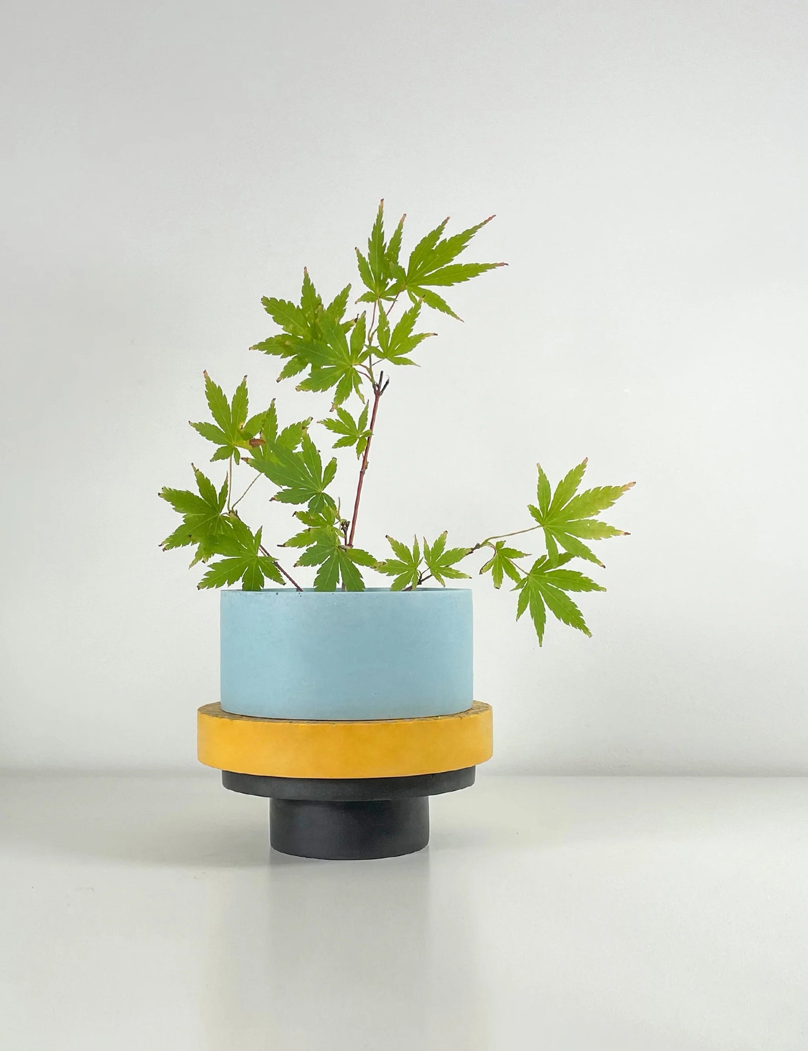 Small Totem plant pot + other colours